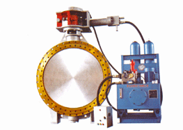 Full hydraulic control check valve